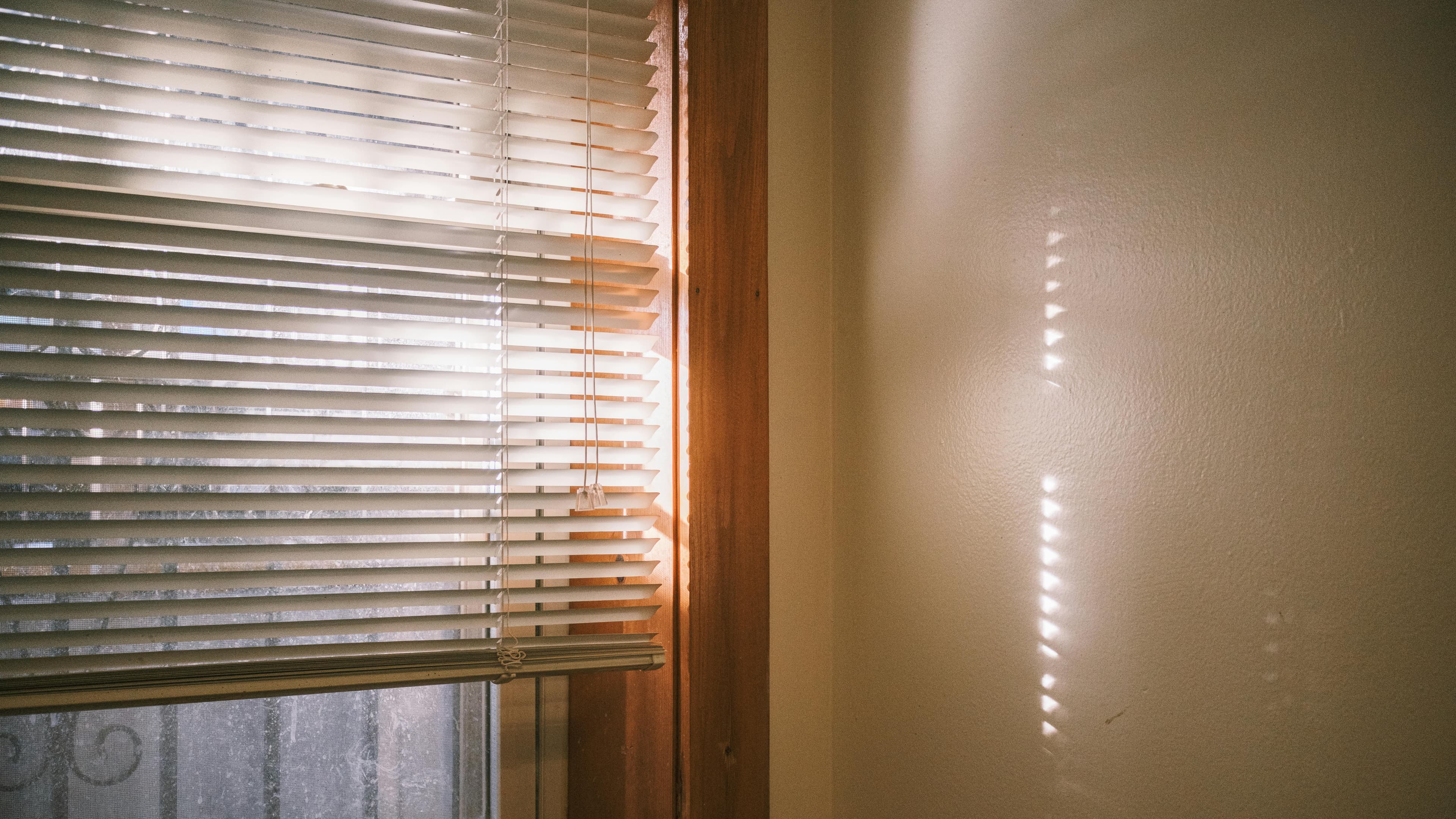 Venetian-style blinds installed in a refined indoor setting